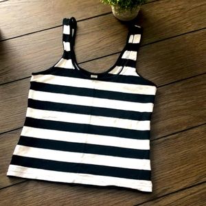 Brass Plum Fitted Stripe Crop Tank Top